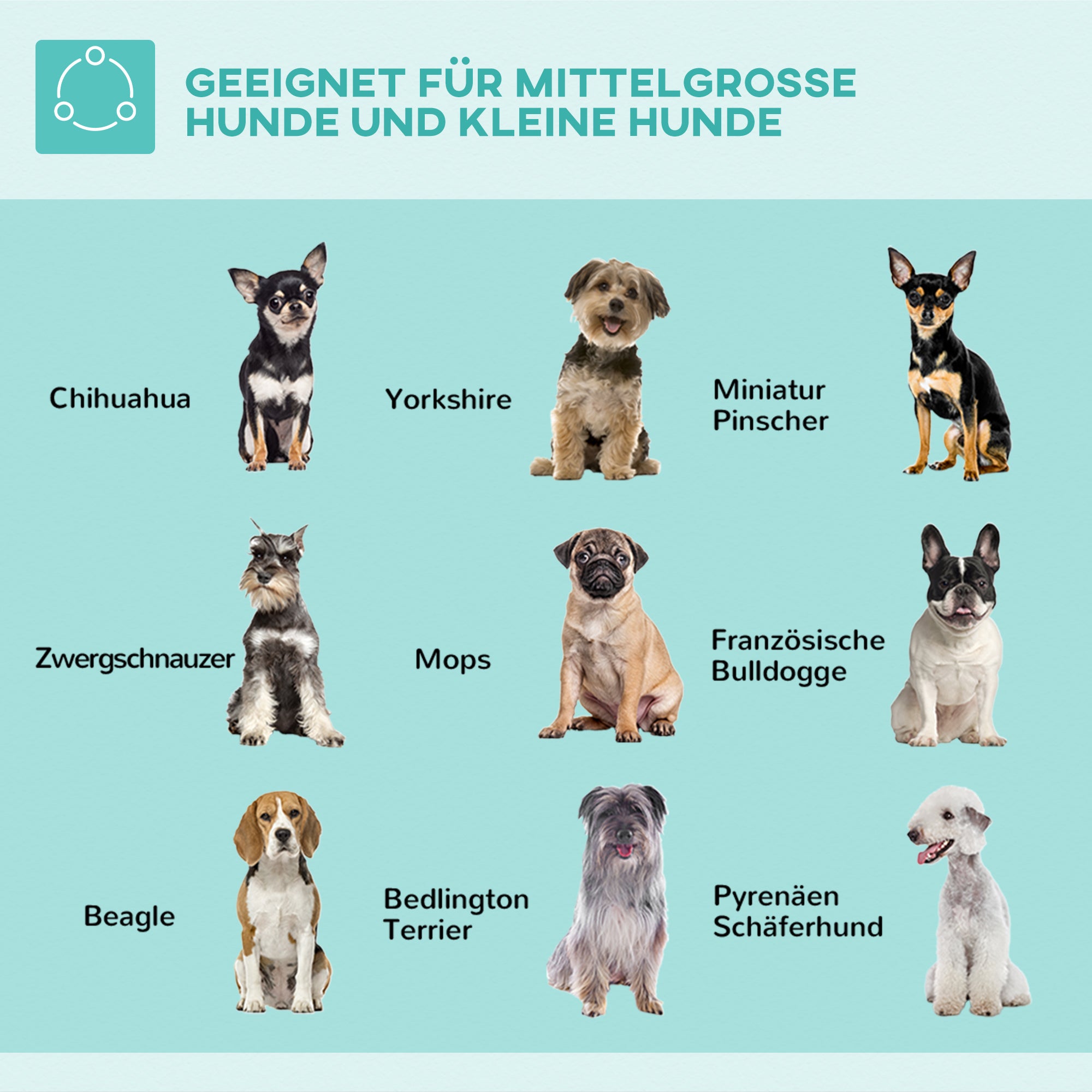 Pet Grooming Arm, Foldable Adjustable with Clamp & Haunch Holder, for Medium Dogs