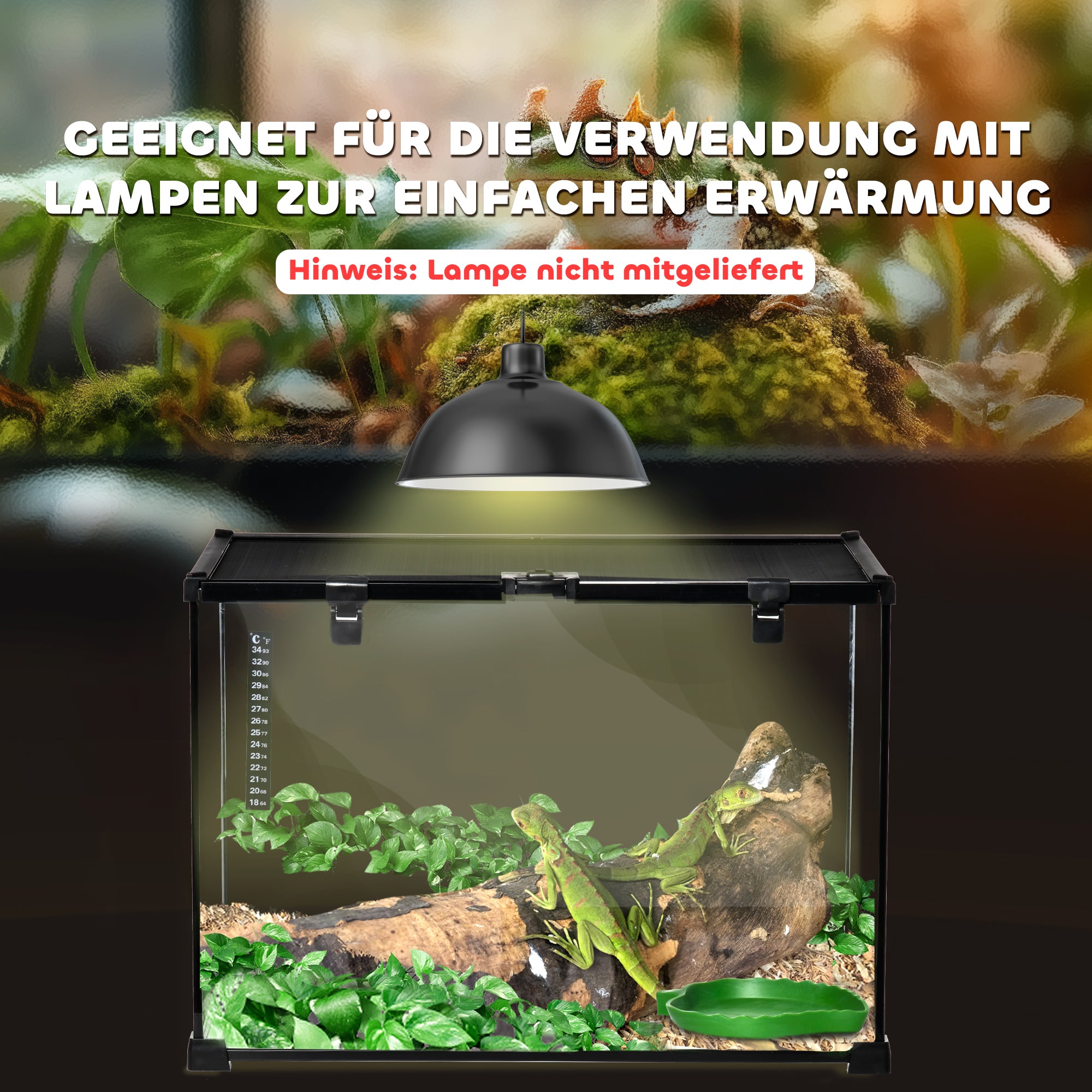 Terrarium, Glass Feeding Box for Reptiles, Metal
