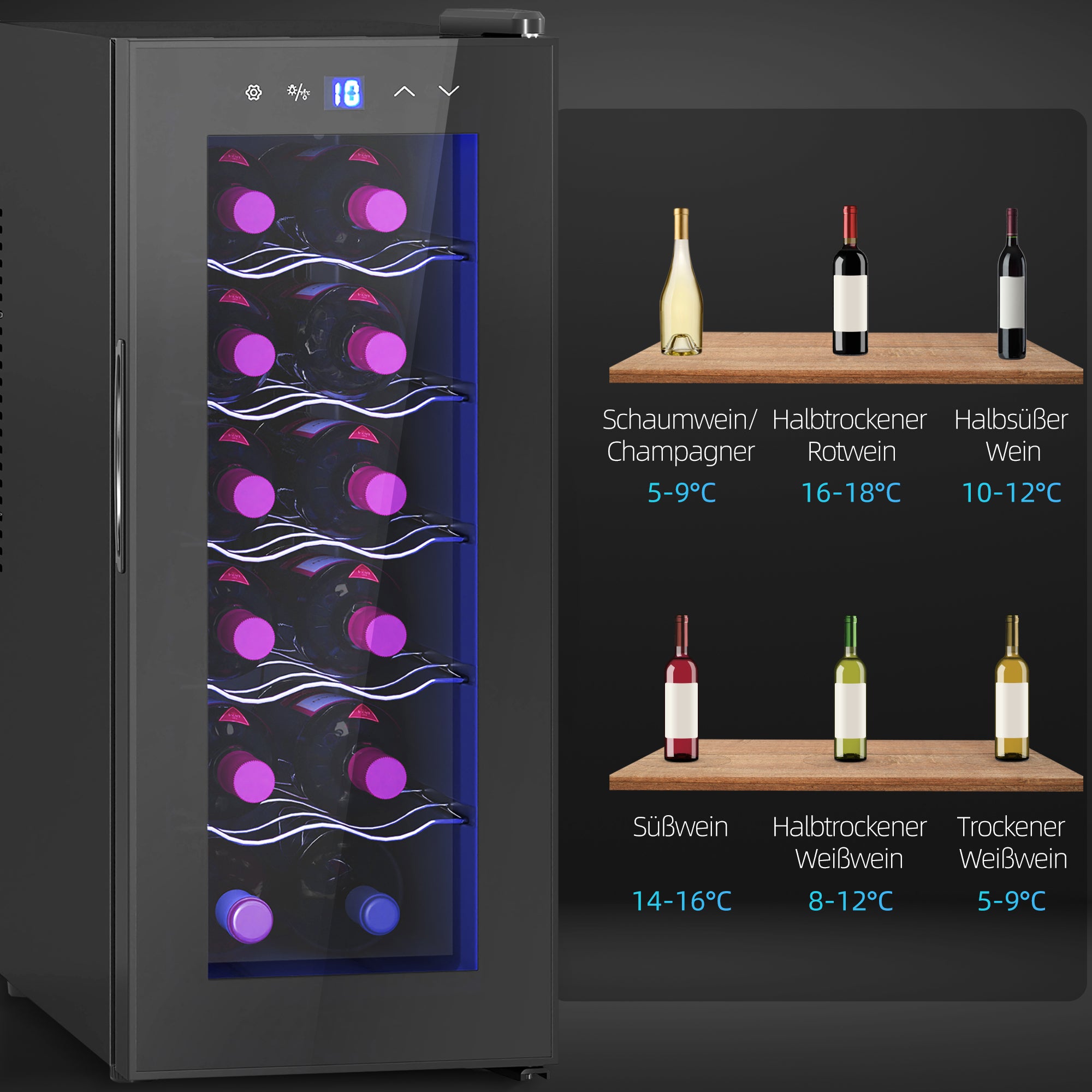 Wine Cooler 12 Bottles 30L 8-18℃ Double Thermoelectric with Glass Door, Beverage Cooler with LED Light, Small Wine Cabinet, Touch Screen, Black