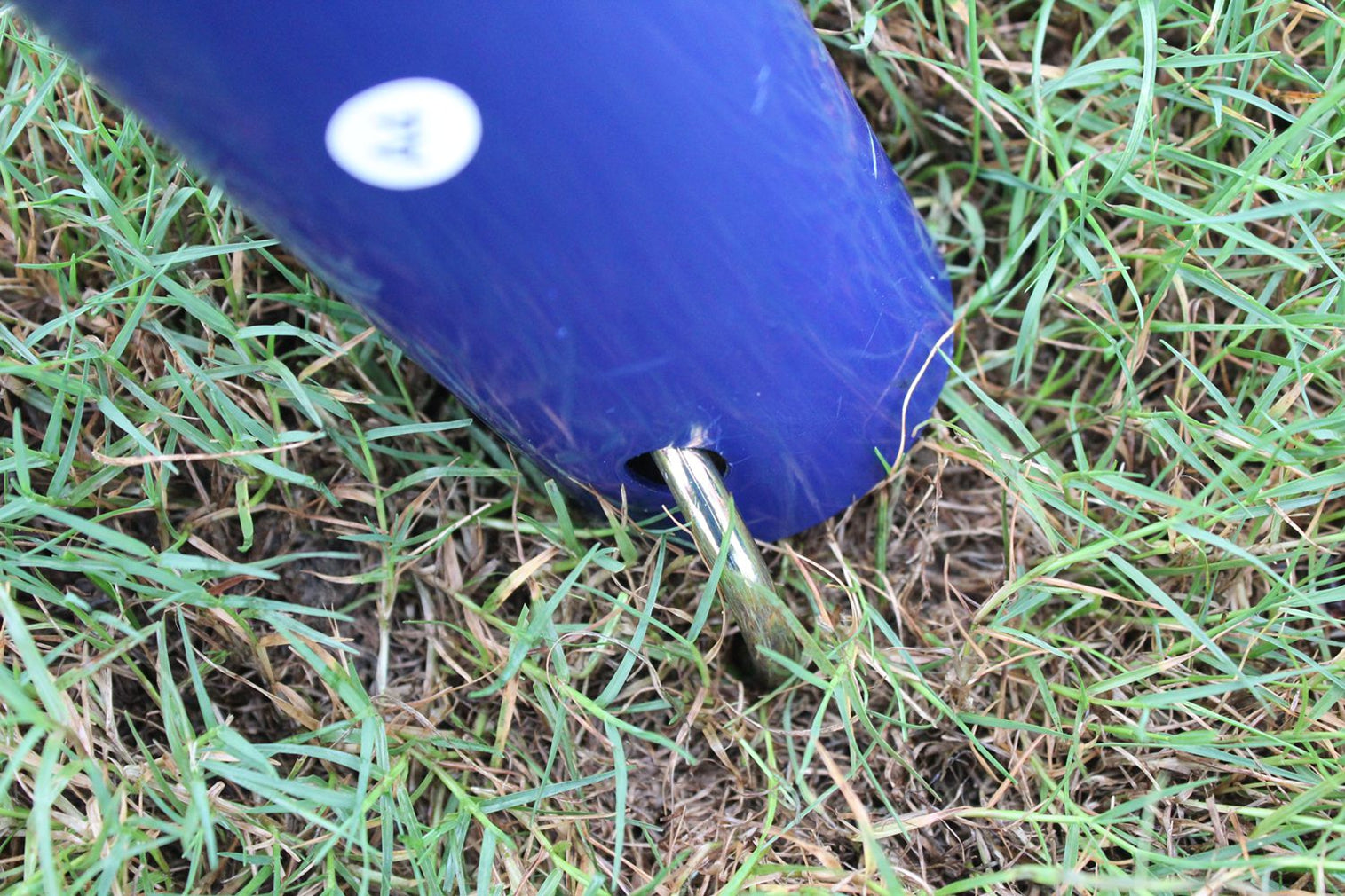 Double Swing Set for Children Aged 3-8, 90kg Capacity, Sturdy Metal Construction