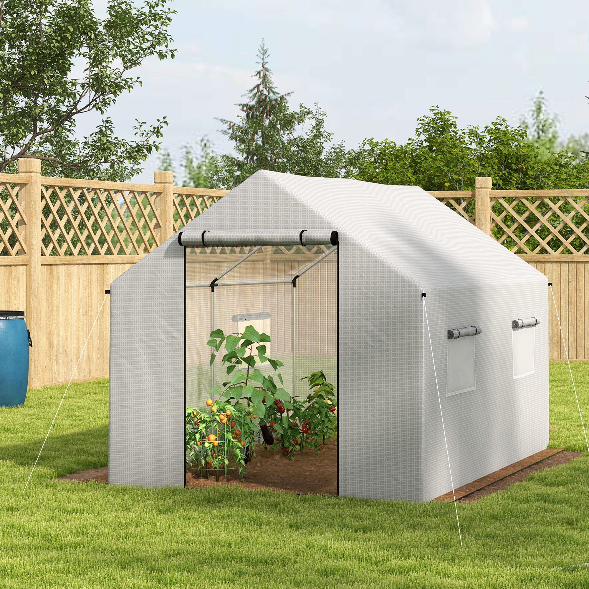 Polyethylene Walk-in Polytunnel Greenhouse 2 x 3m White
