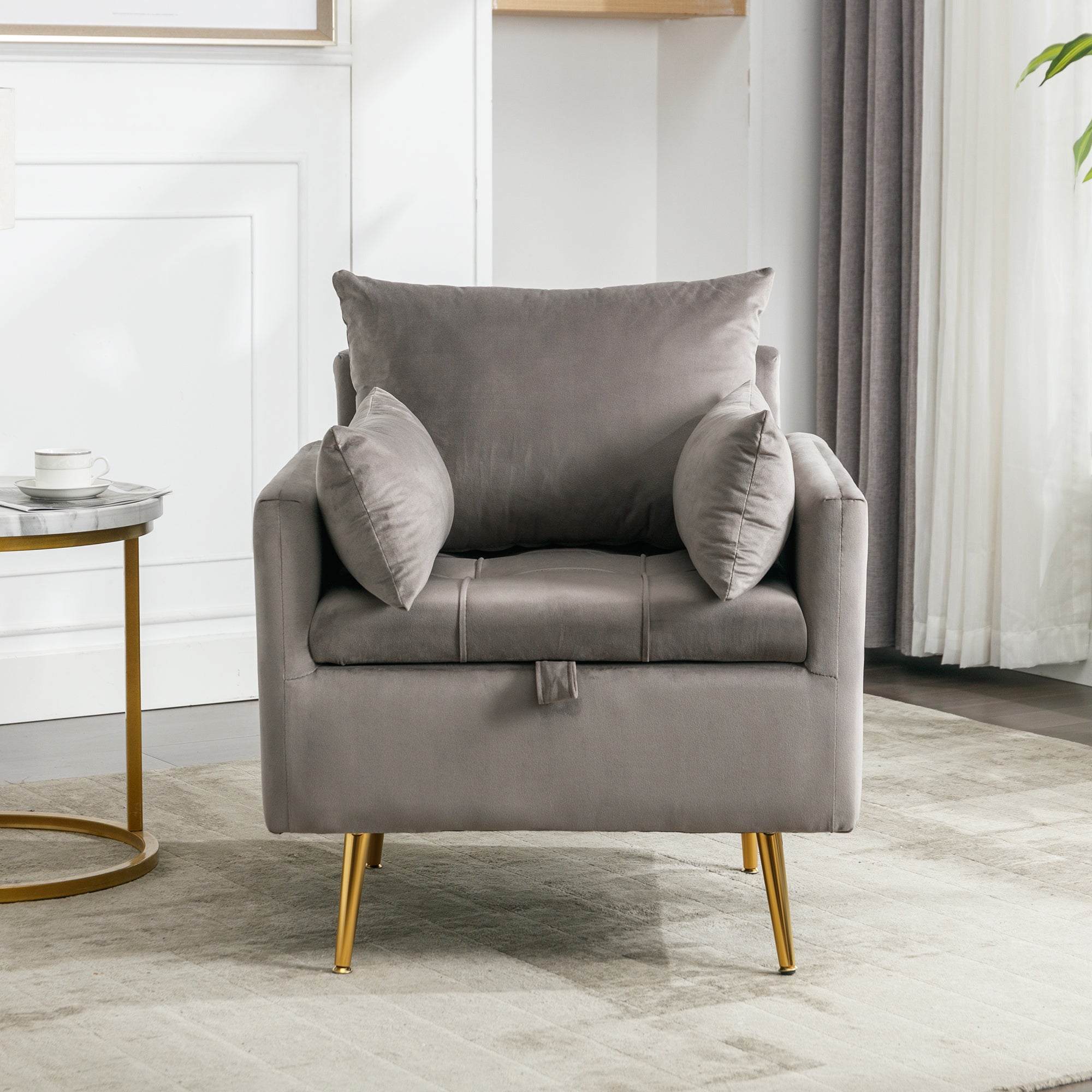 Velvet Chair with Storage, Cushion, and Golden Metal Legs