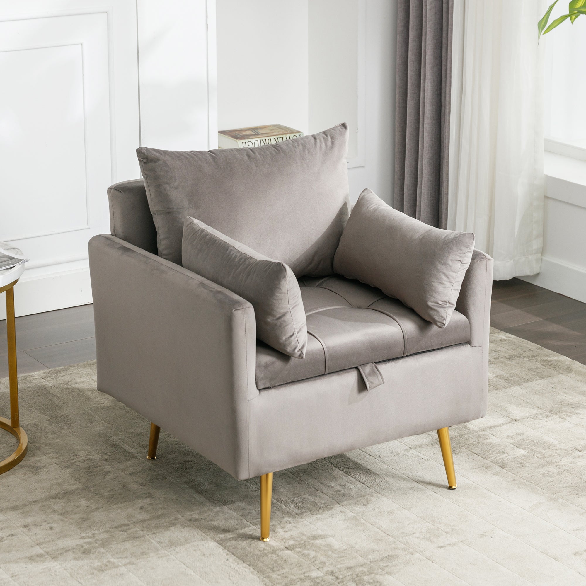 Velvet Chair with Storage, Cushion, and Golden Metal Legs