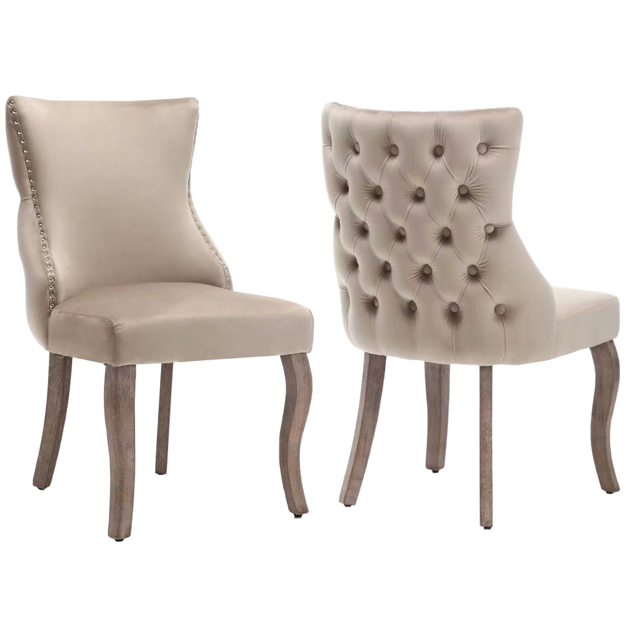 Dining Chair Set of 6 Upholstered Button Tufting Nailhead Trim Curved Solid Wood Legs Beige Velvet