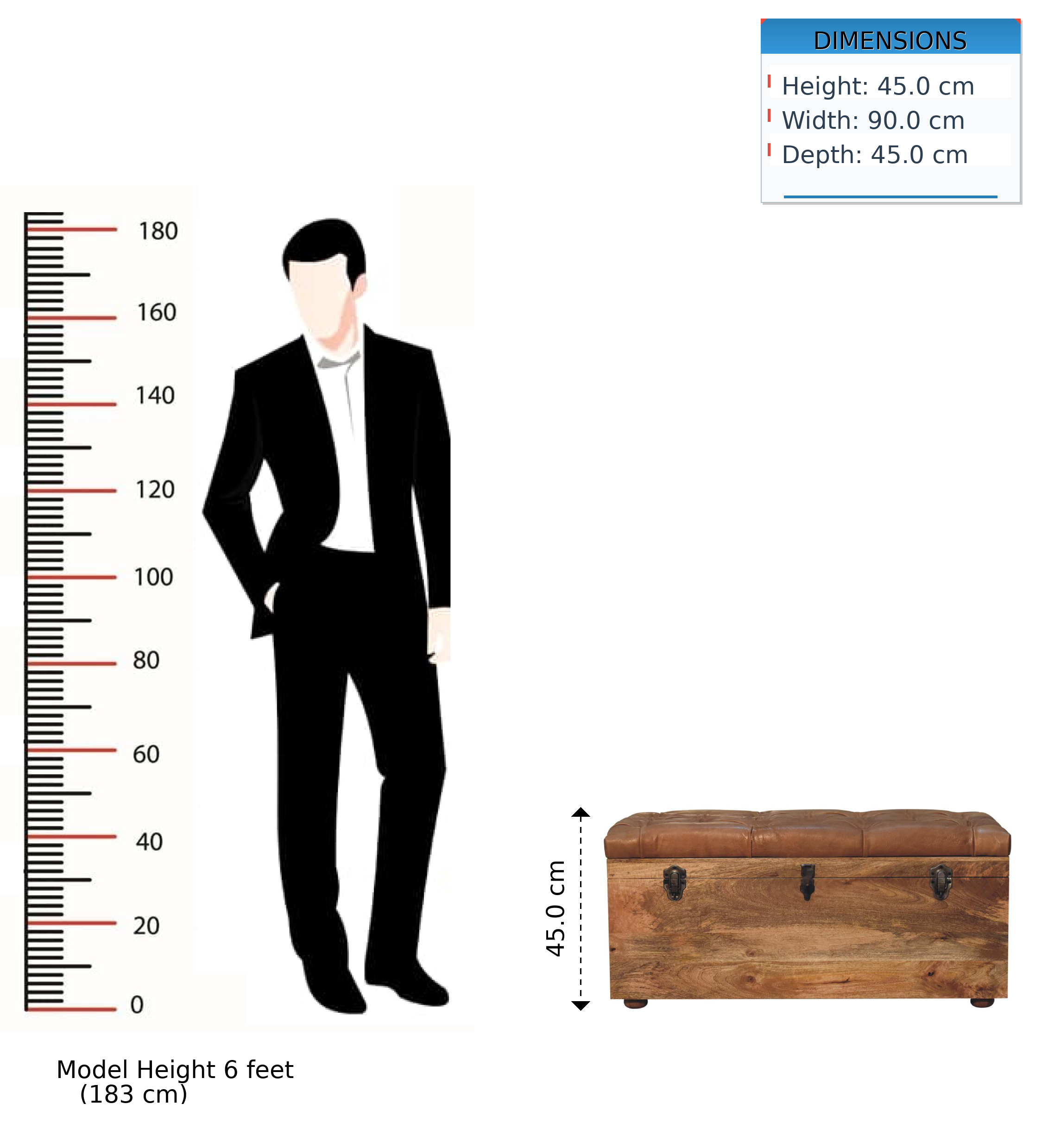 Buffalo Hide Storage Trunk, Oak-ish