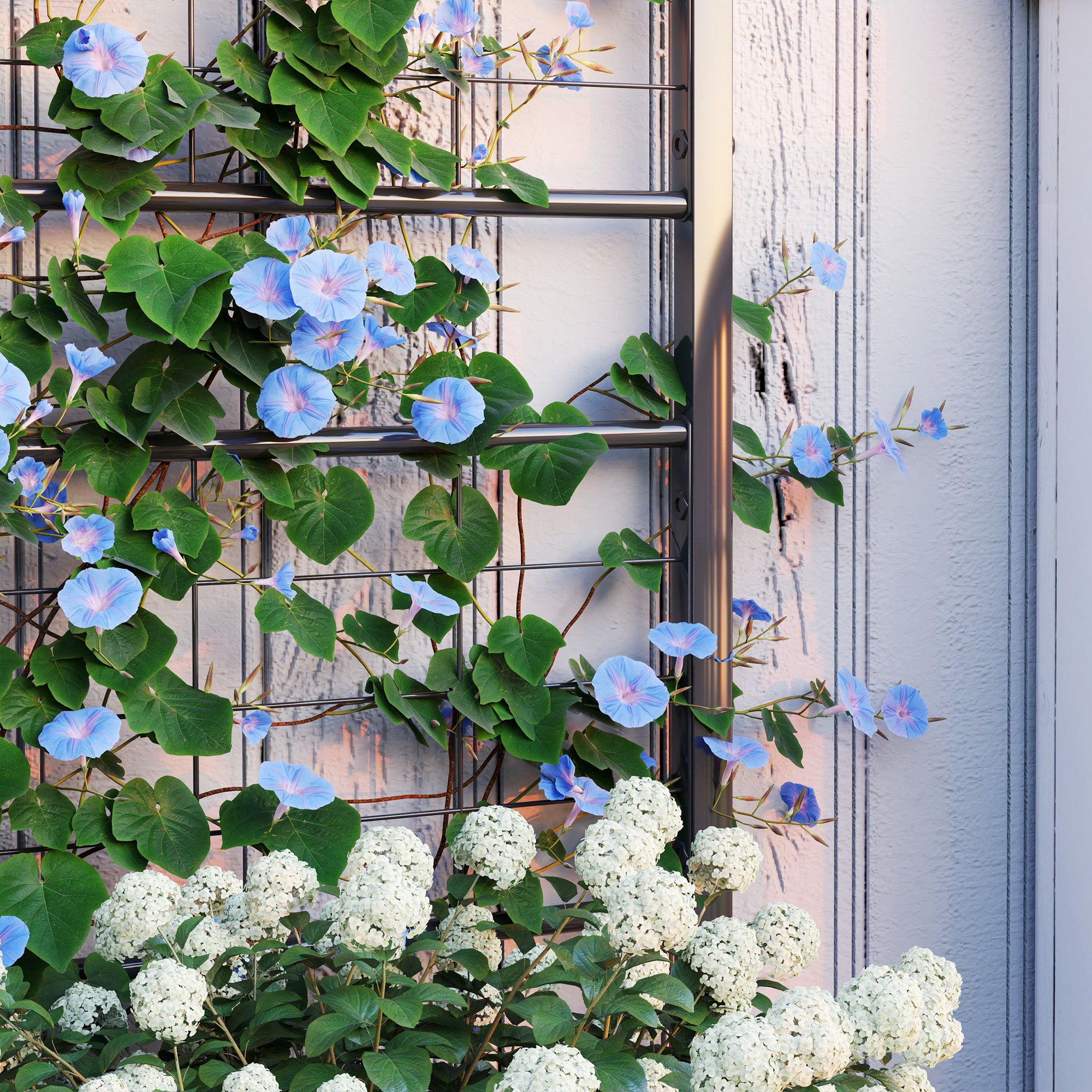 Raised Bed Planter with Trellis, Galvanised, Diamond Pattern, Black