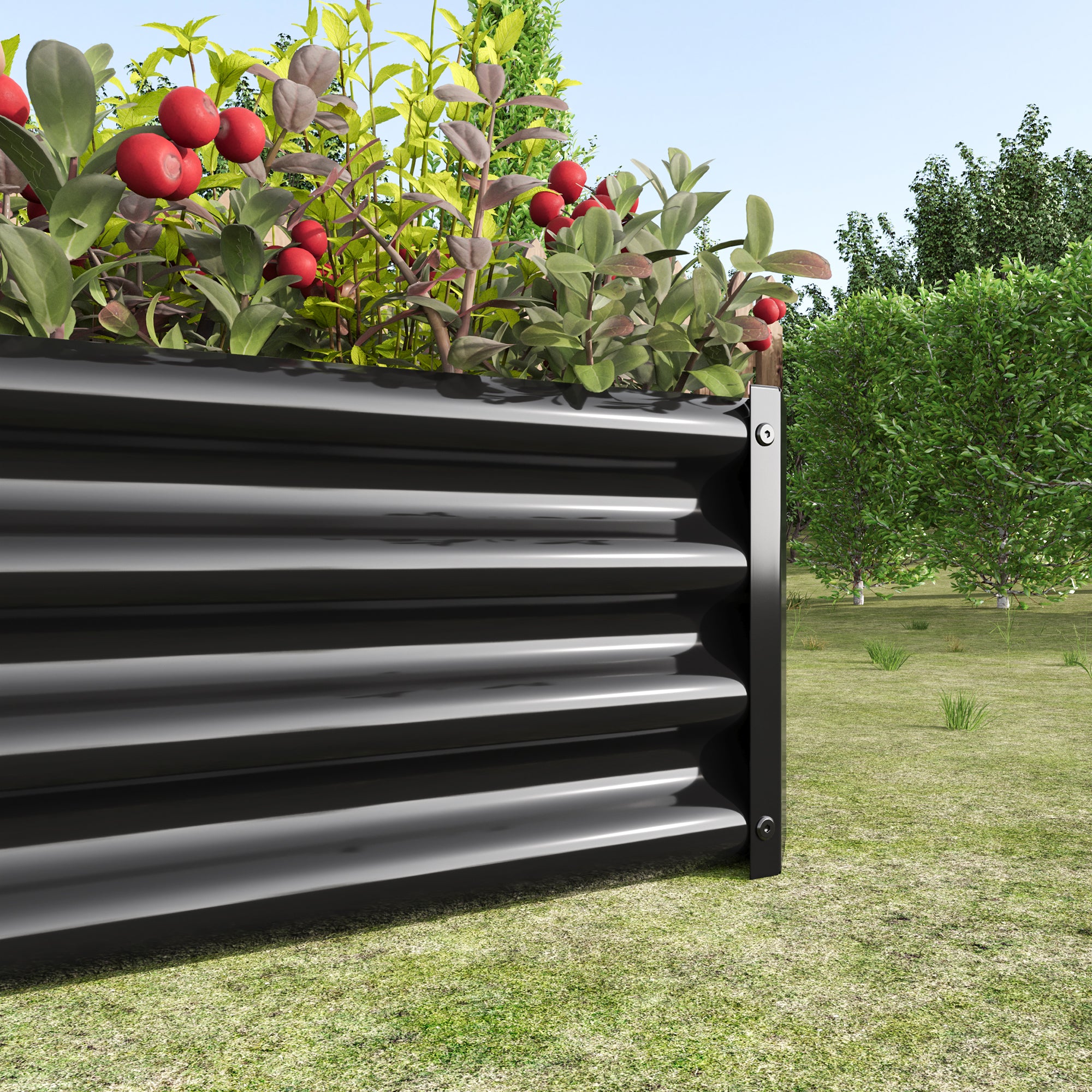 Raised Bed Metal Plant, Steel Rust Protection, Anthracite