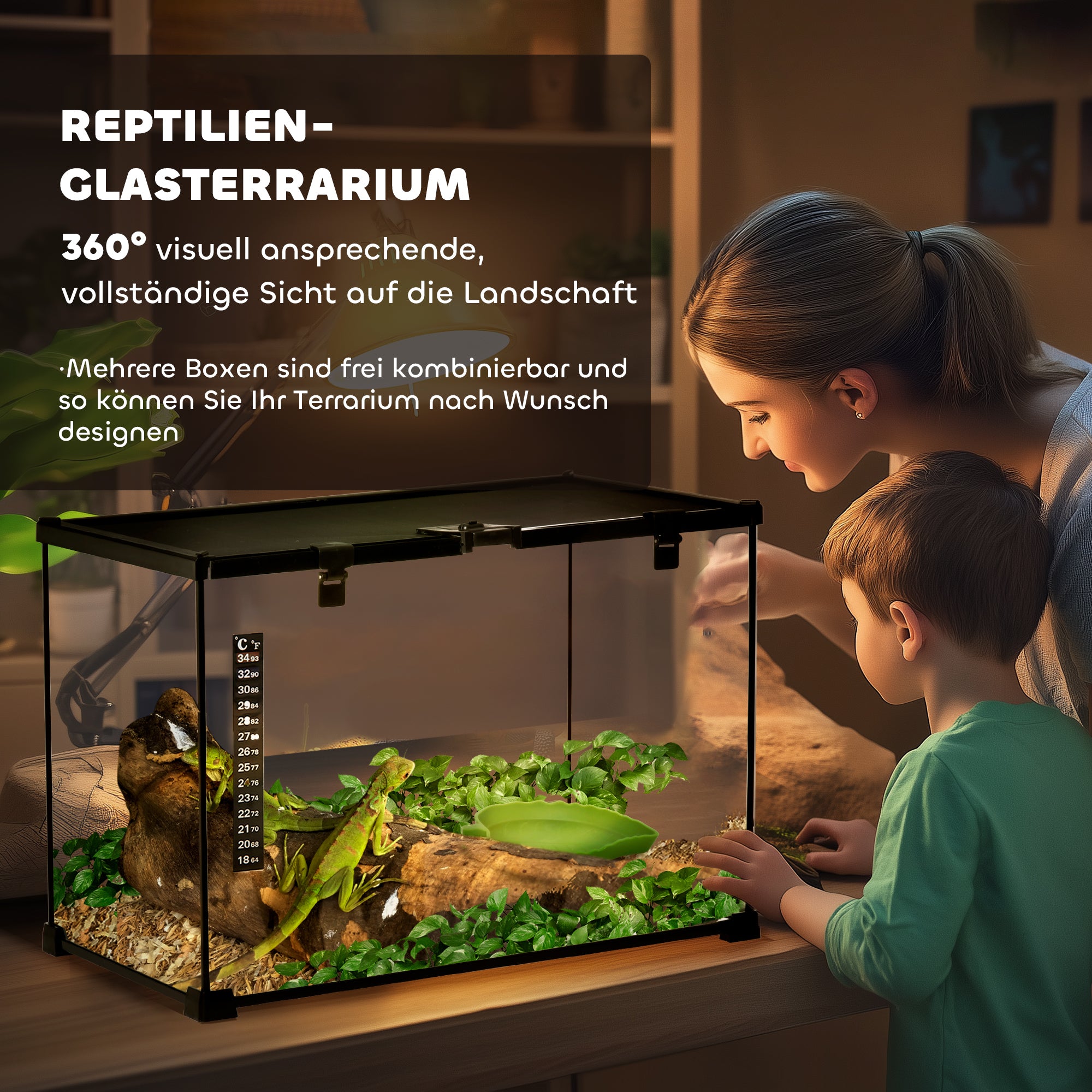 Terrarium, Glass Feeding Box for Reptiles, Metal