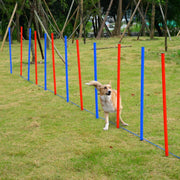 Pet Agility Training Equipment Dog Play Run Obedience Set Adjustable Poles