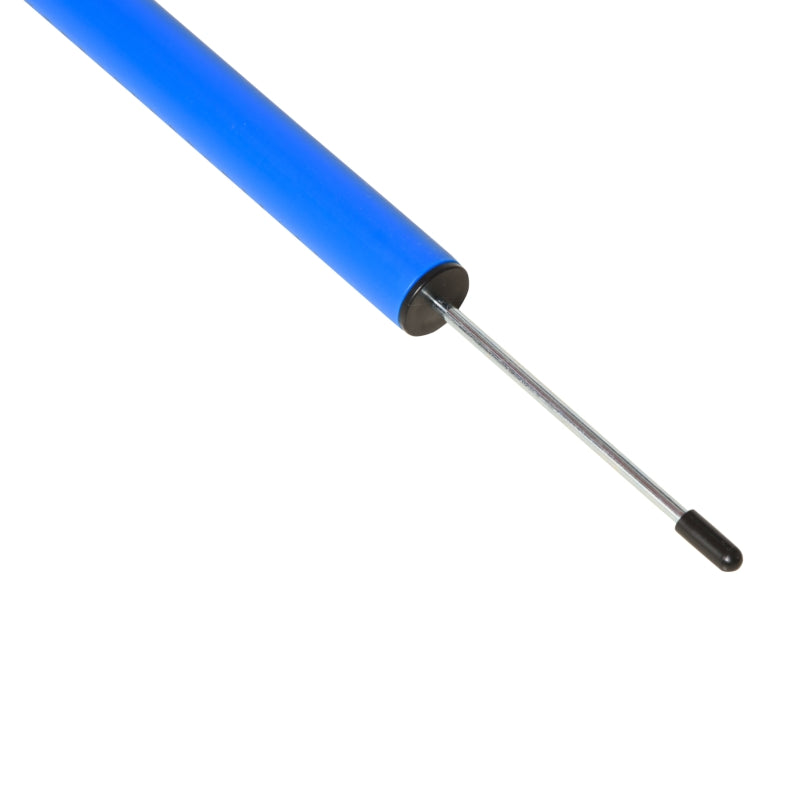 Agility Set, 5-Piece Dog Training Equipment, Yellow