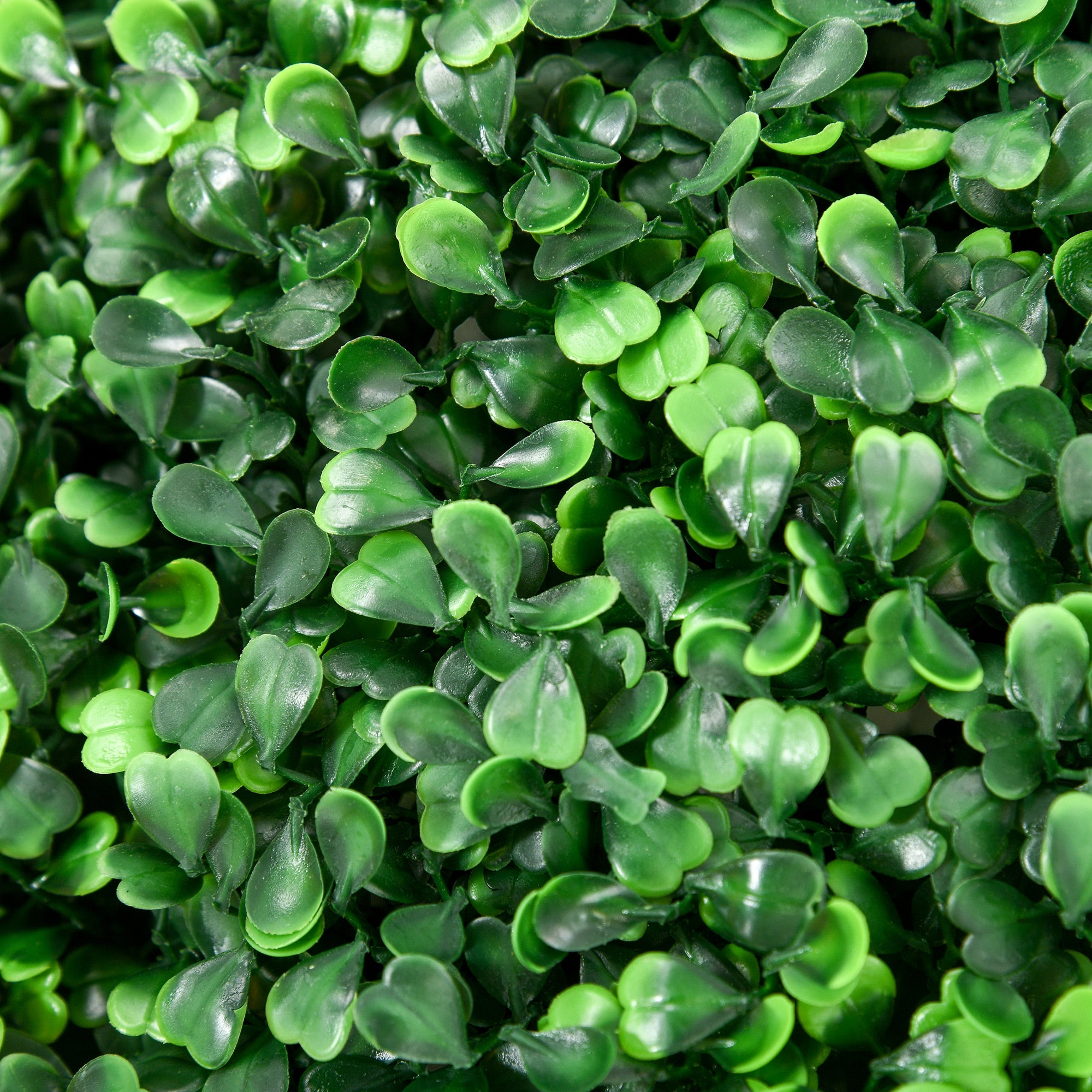 Artificial Boxwood Balls, 50 cm, Set of 2, Plastic