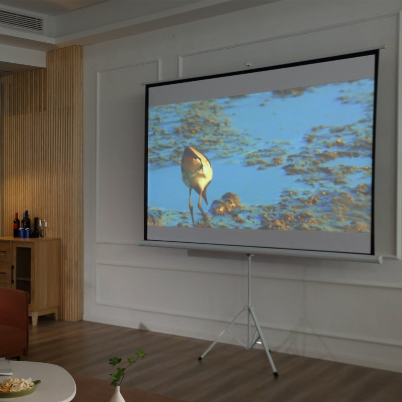 Projection Screen 4:3 Cinema Presentation Surface, White