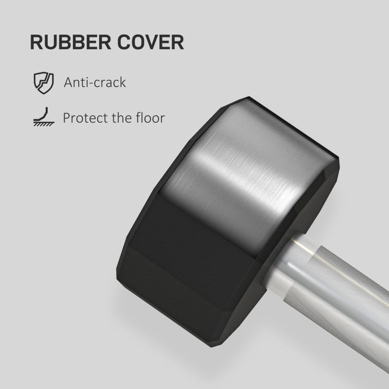 SPORTNOW Dumbbells Weights Set, 2 x 10kg, 12-Sided Shape, Non-Slip Grip