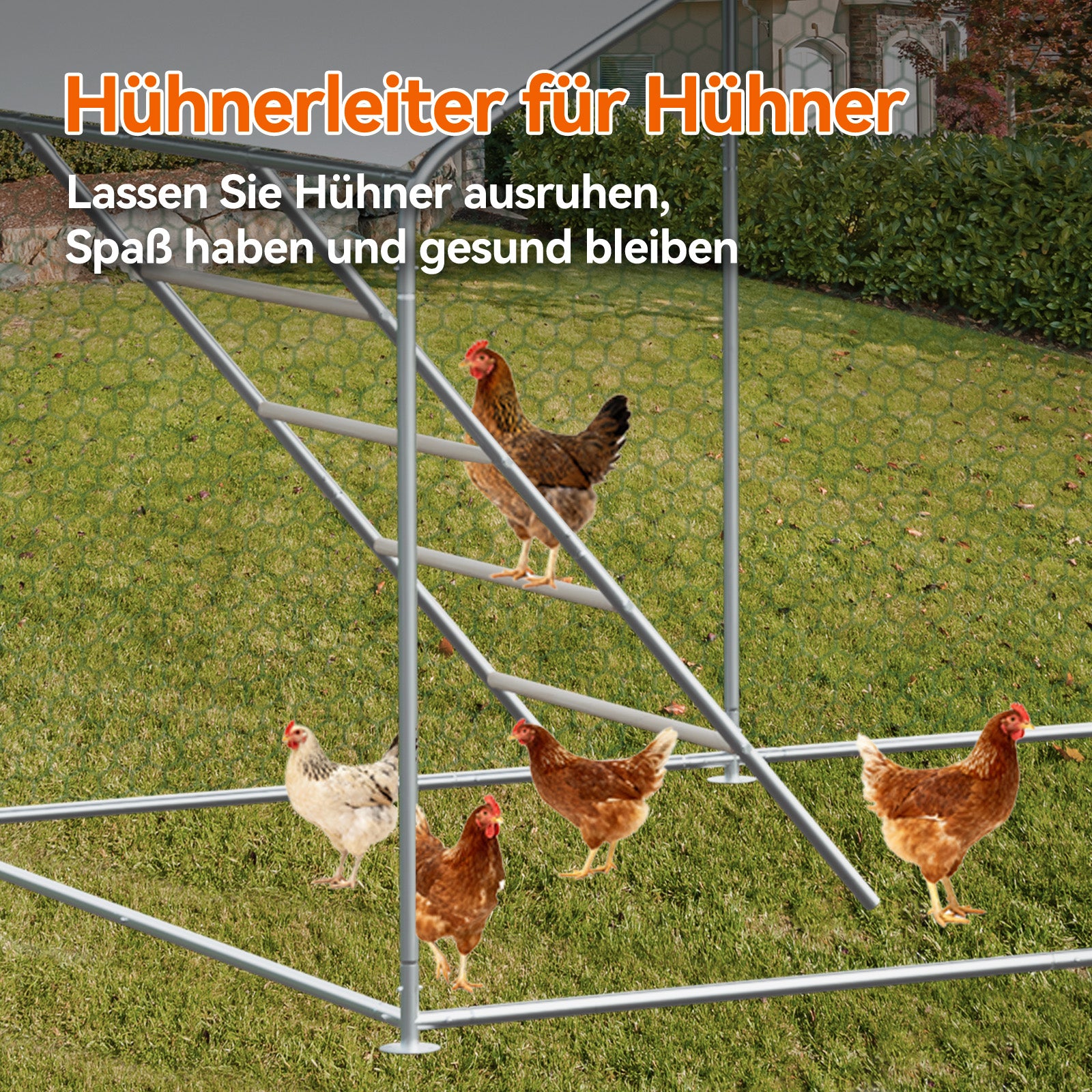 Chicken Run, 3x2x2m Safety Lock Waterproof PE Cloth, Metal