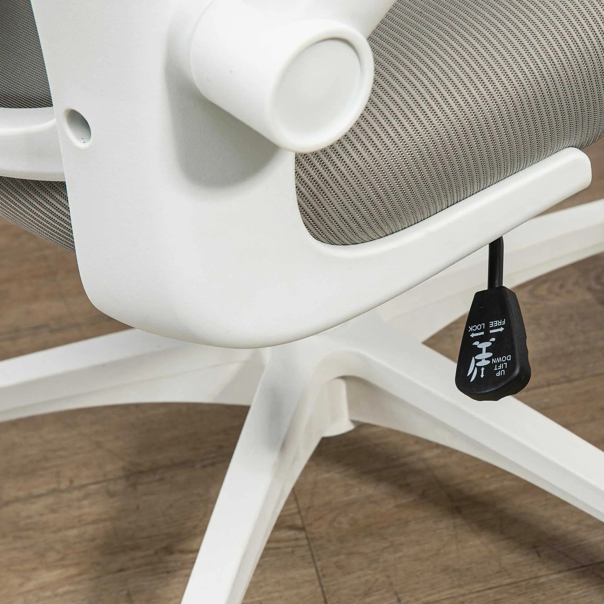 Multi-Adjustable Office Chair, Lumbar Support Headrest Mesh Back - Grey