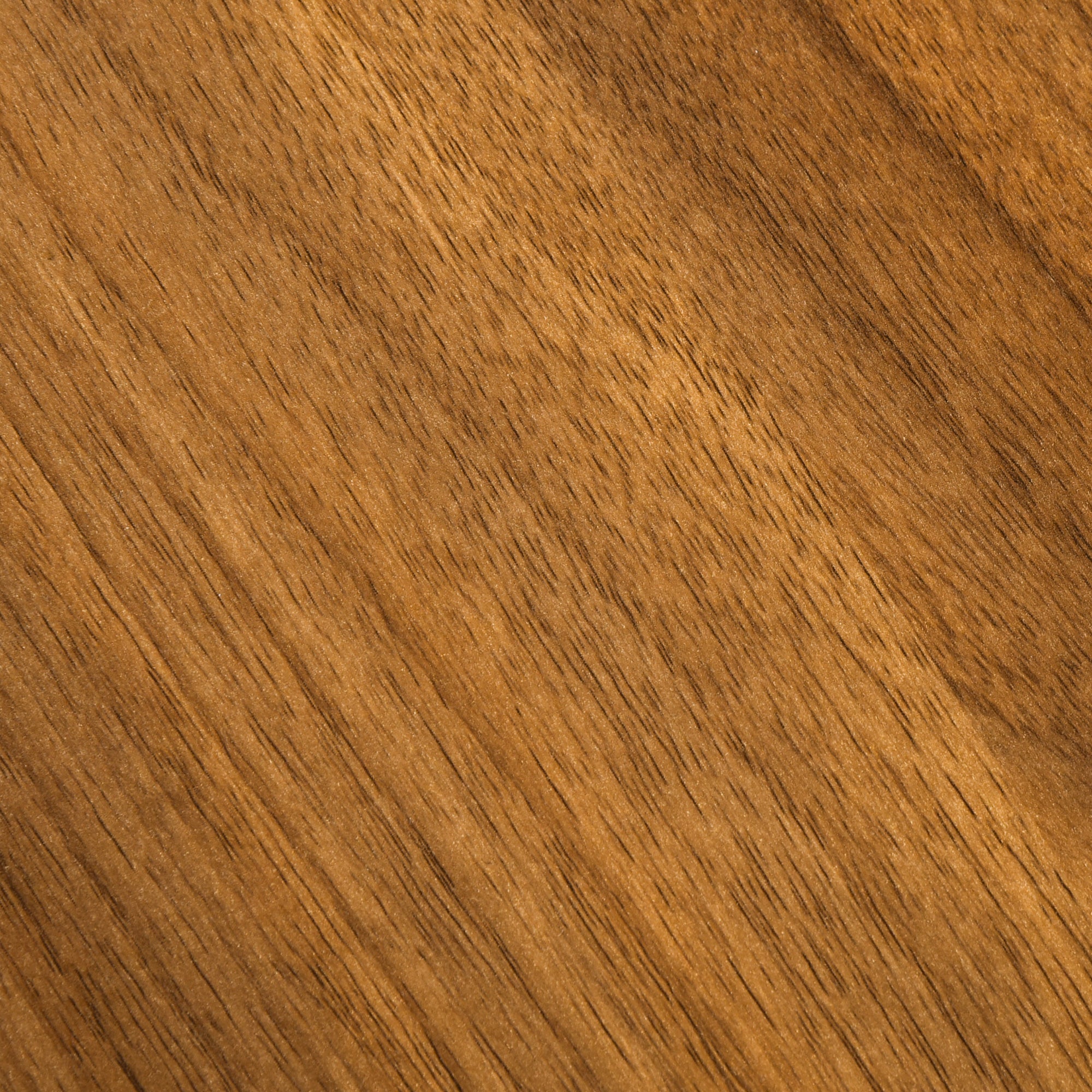 Modern Bedside Table Nightstand with Drawer and Shelf, Walnut Brown