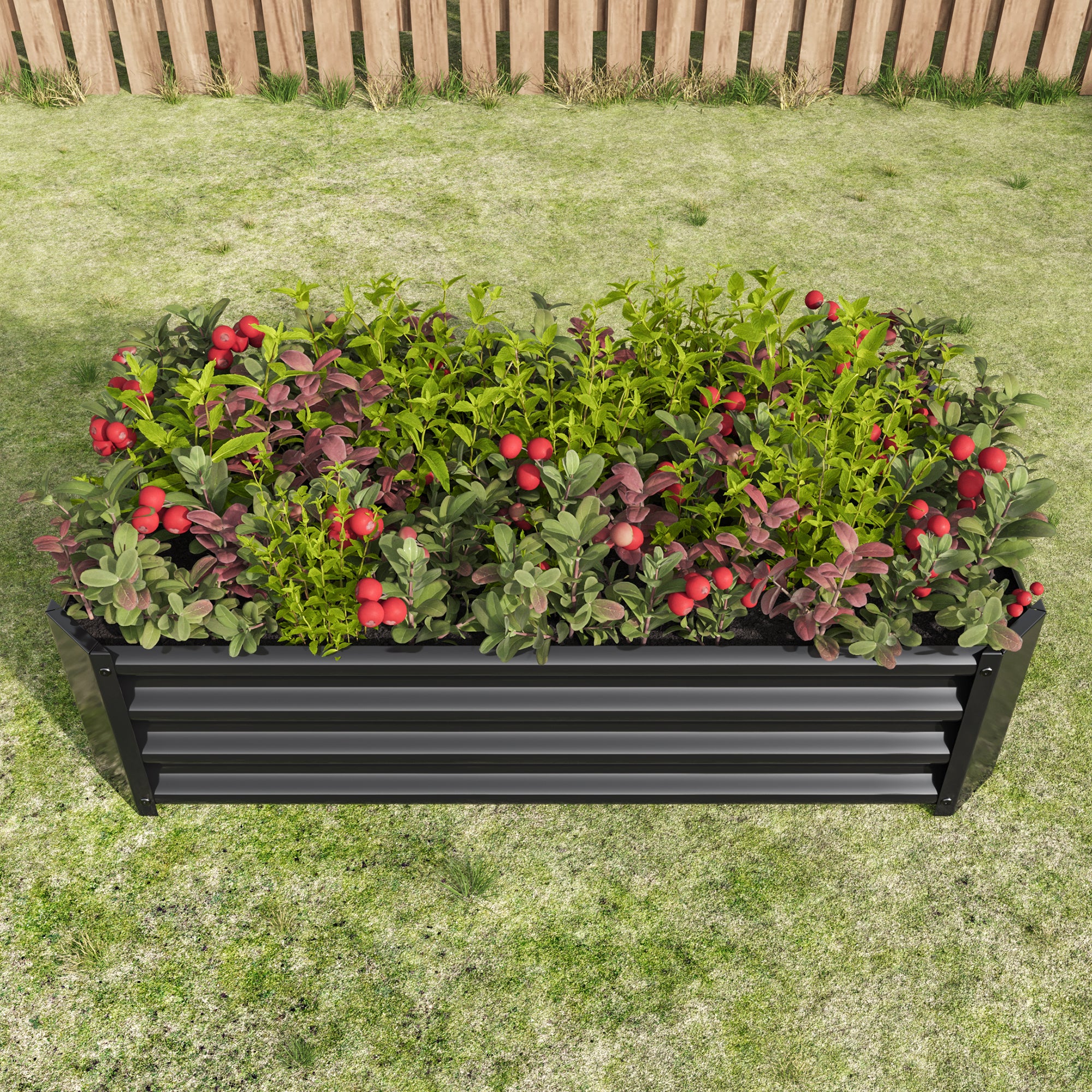 Raised Bed Metal Plant, Steel Rust Protection, Anthracite
