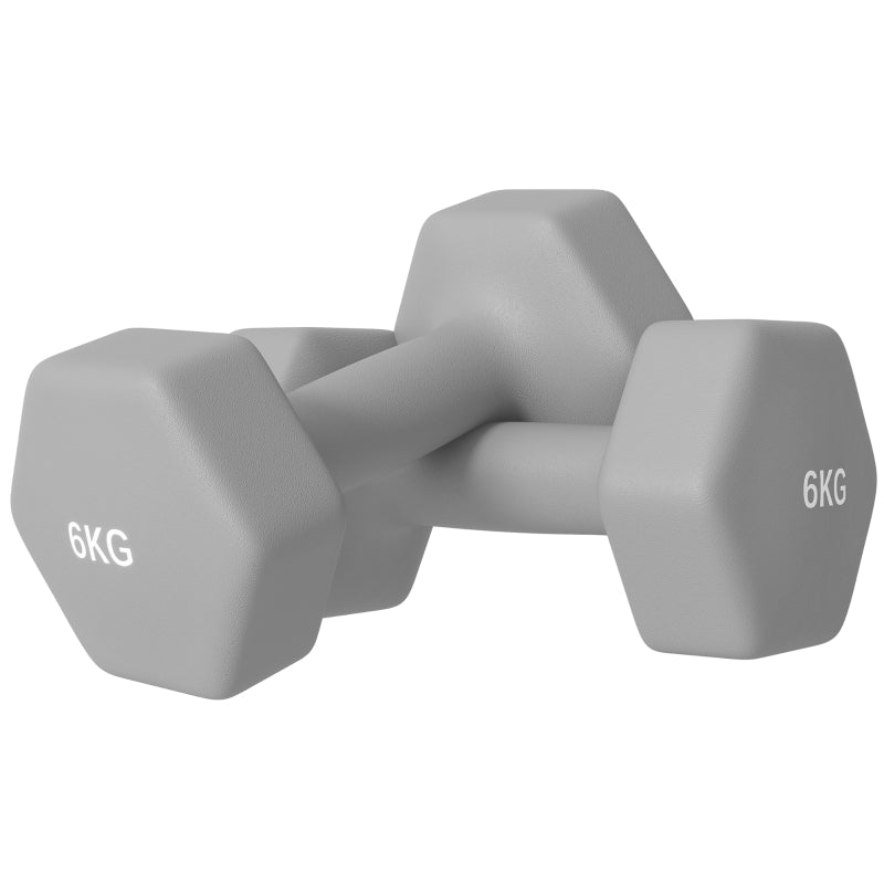 Dumbbell Set 2 x 6 kg Hexagonal Non-Slip - Grey