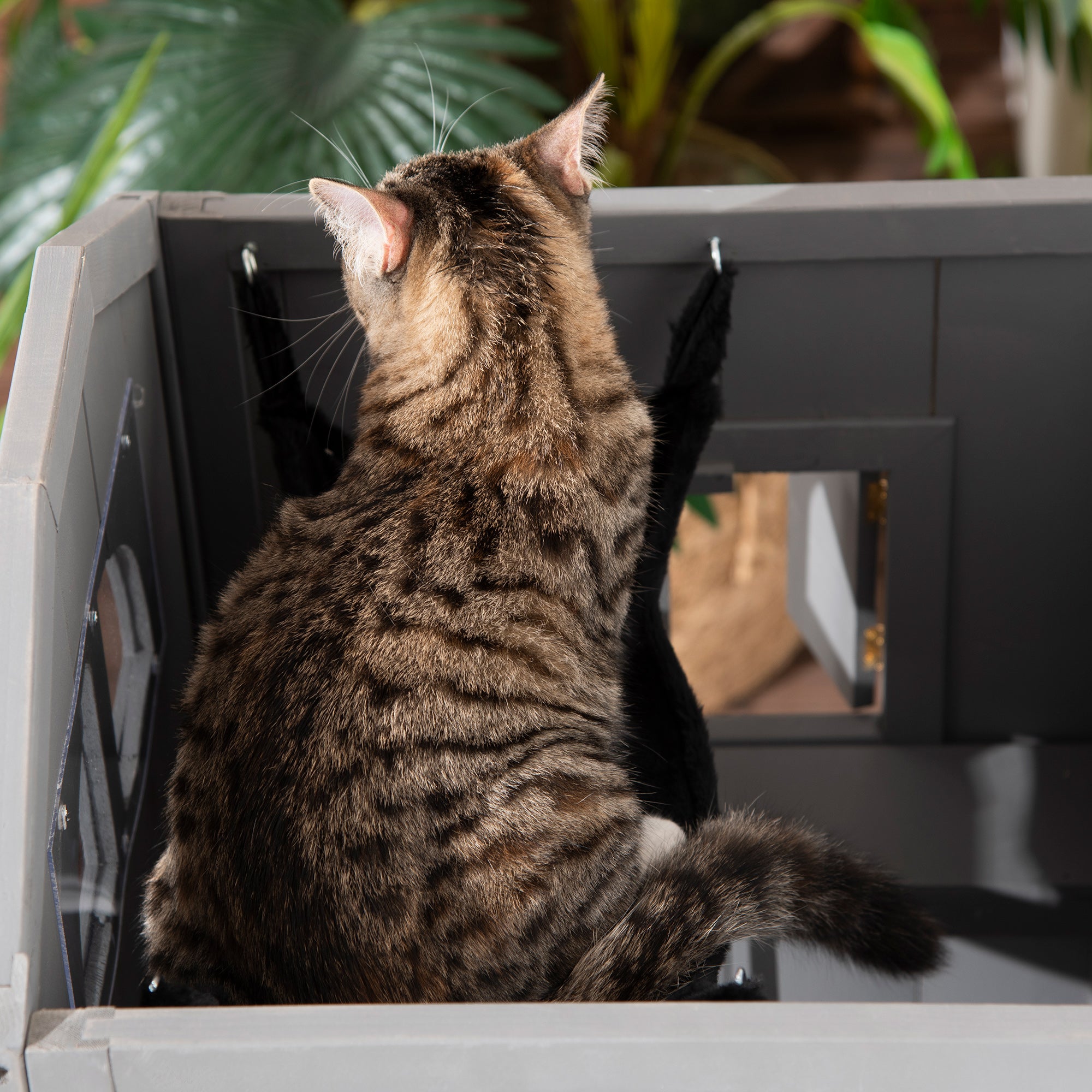 Cat House for Cat Bed or Litter Box, Fir Wood, Grey