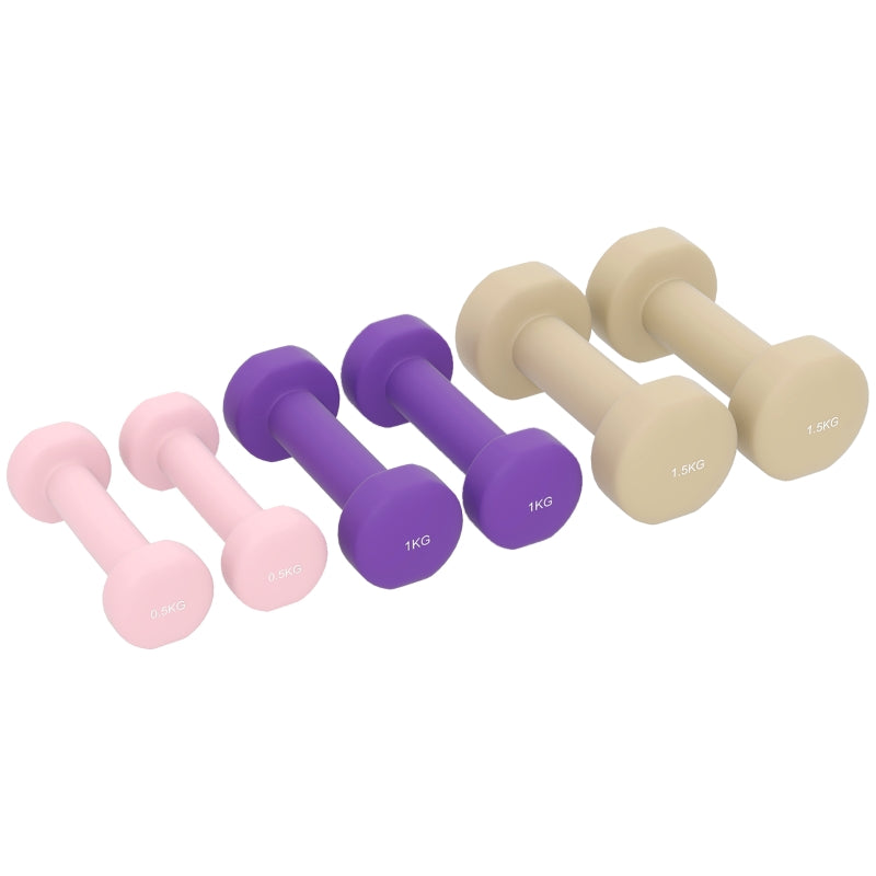 Dumbbell Set 6-Piece Adjustable 0.5/1/1.5kg Weights with Case