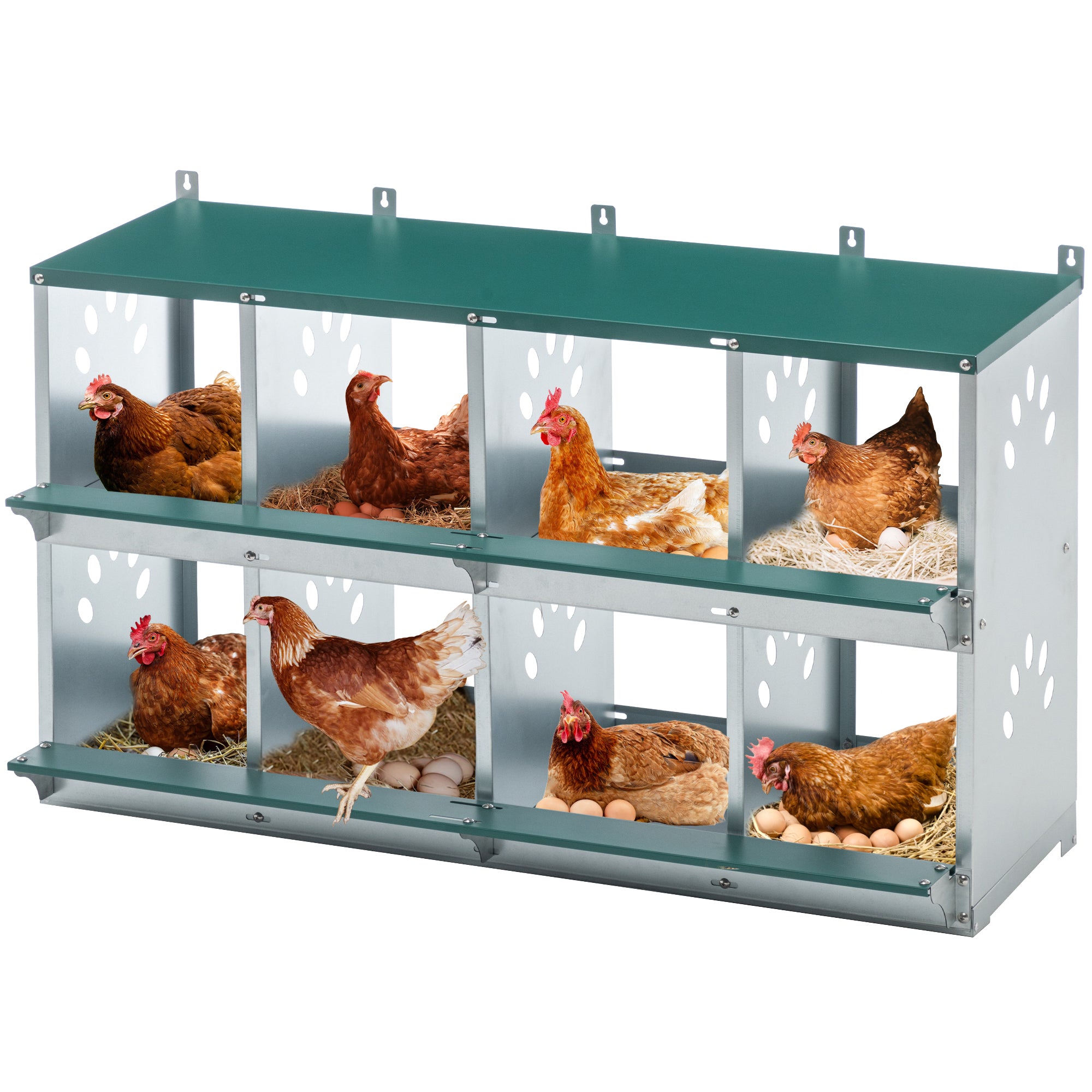8-Compartment Chicken Nesting Boxes, Wall-Mounted Roll Away Design with Ventilation, Galvanized Steel