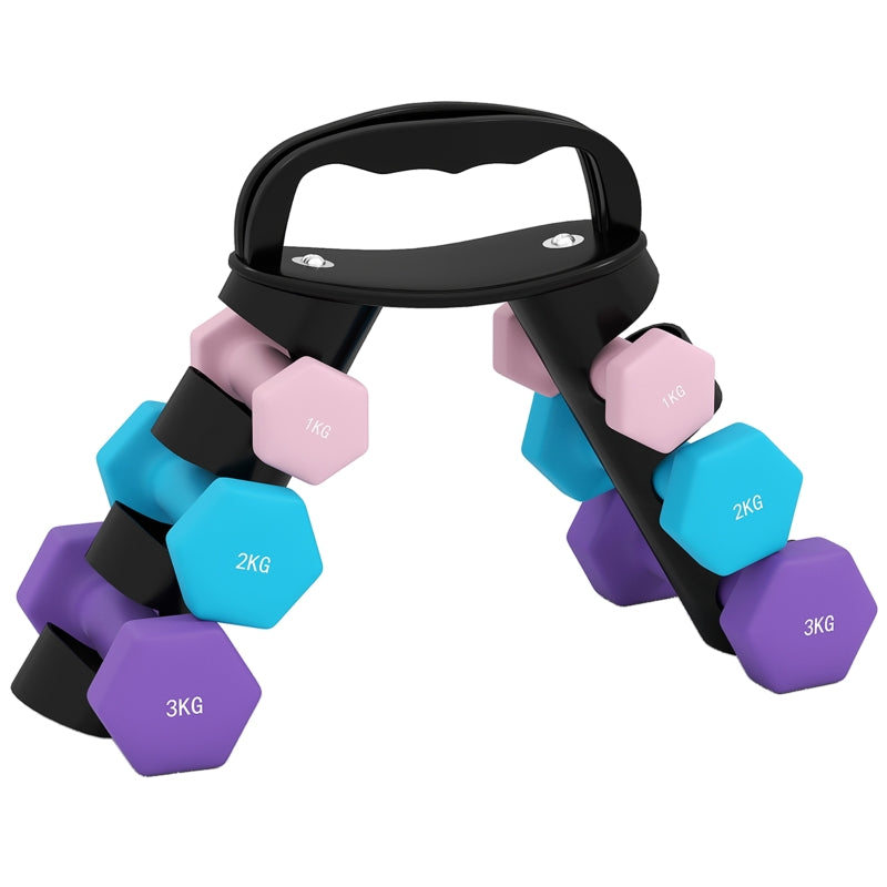 Dumbbell Set with Storage Rack, 6 Weights for Fitness Training (2x1kg, 2x2kg, 2x3kg)