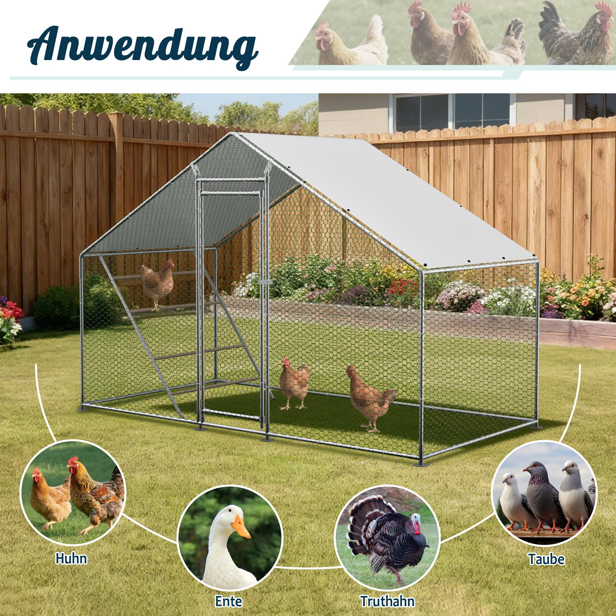 Chicken Coop - Run, Ladder, Secure, Weatherproof
