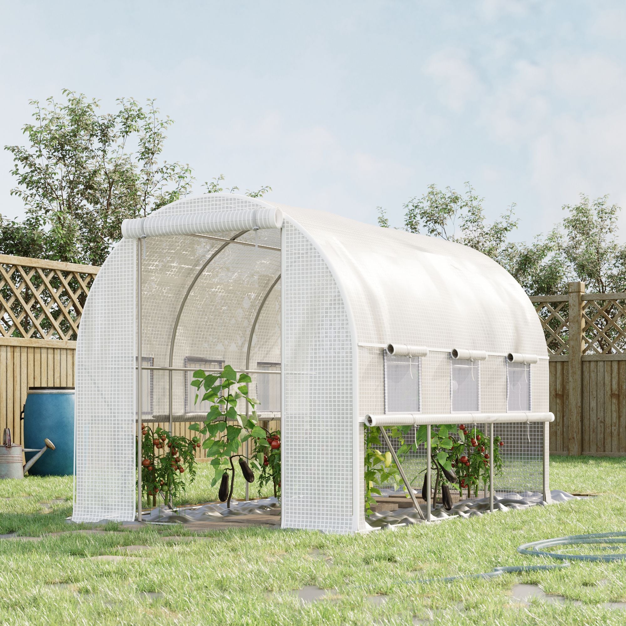 Walk-in Polytunnel Greenhouse with Roll-up Sidewalls, 3 x 2 x 2m, White PE Cover
