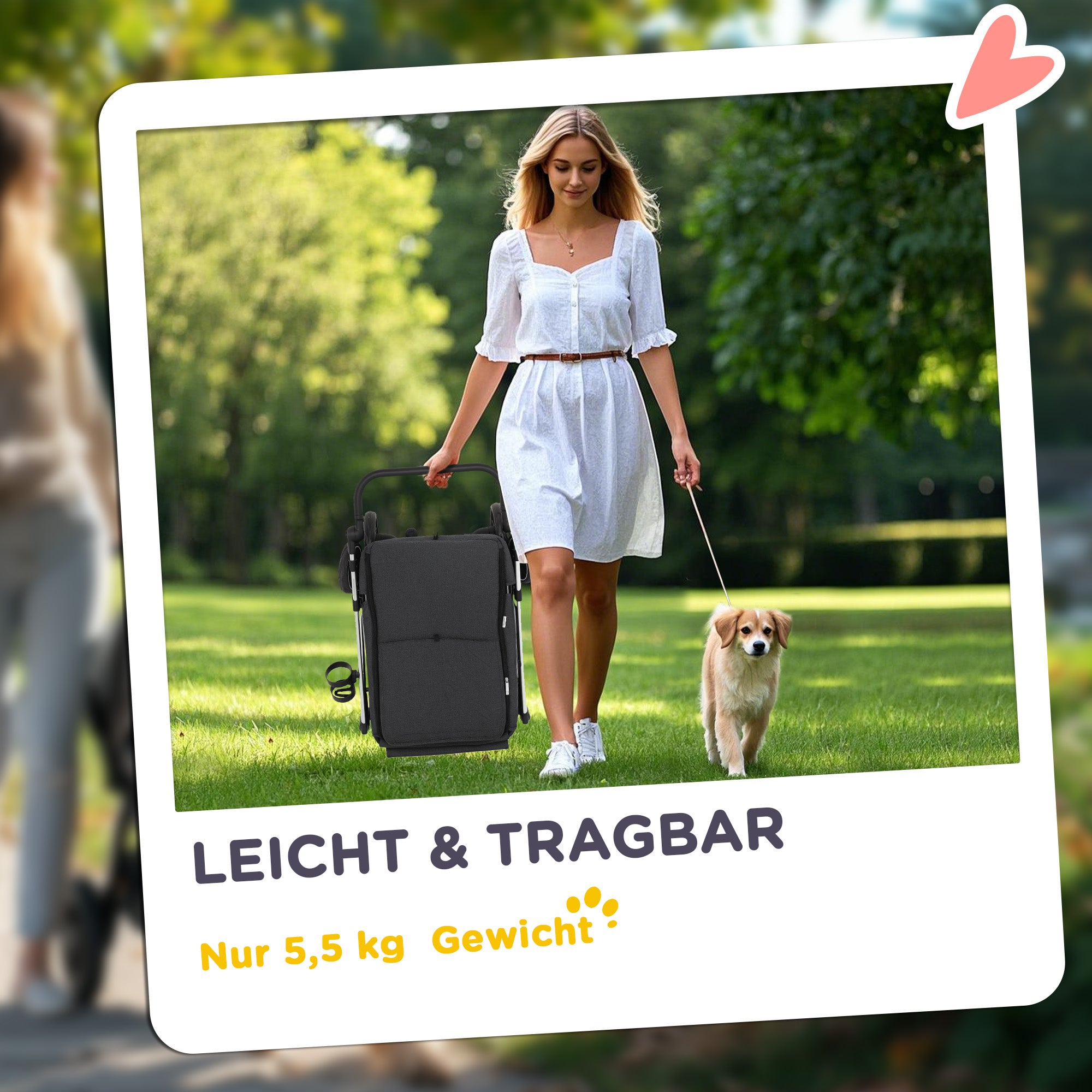 Dog Stroller, Lightweight Foldable with Cushion & Mesh, Aluminum Gray