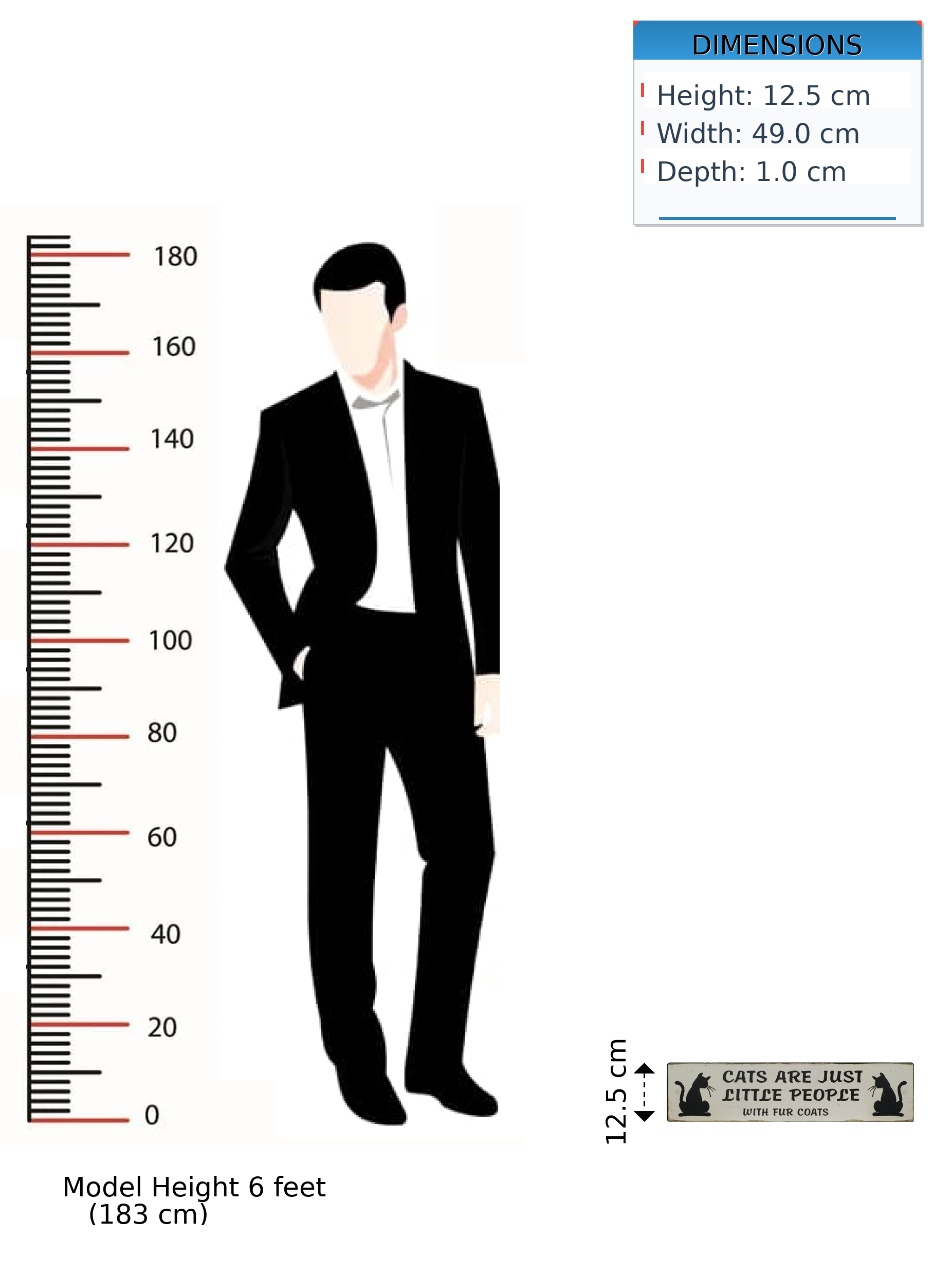 Plaque - Cats Are Just Little People - Metal