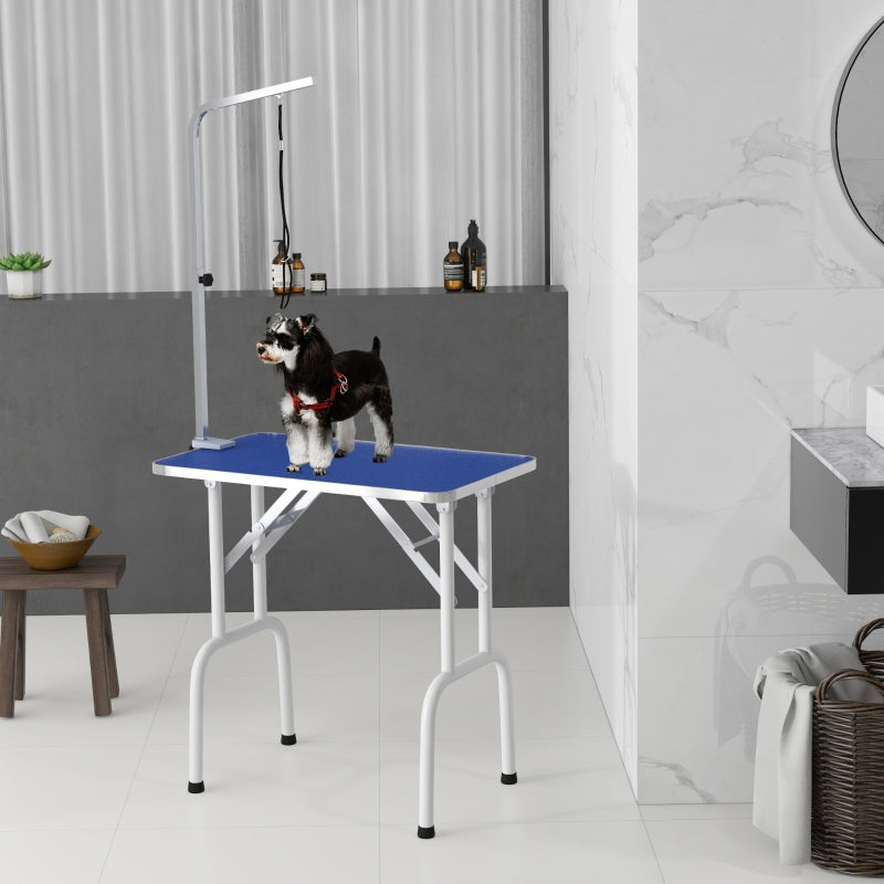 Pet Grooming Table, Hairdressing Brushing Washing, Metal Blue