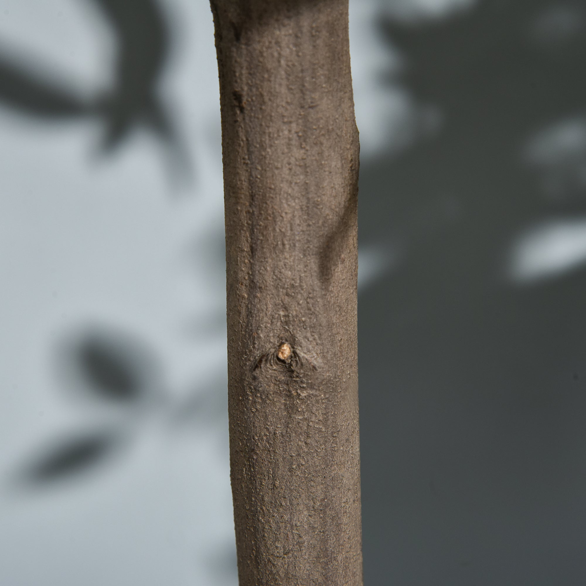 Artificial Bay Trees, Set of 2, 90 cm, Green