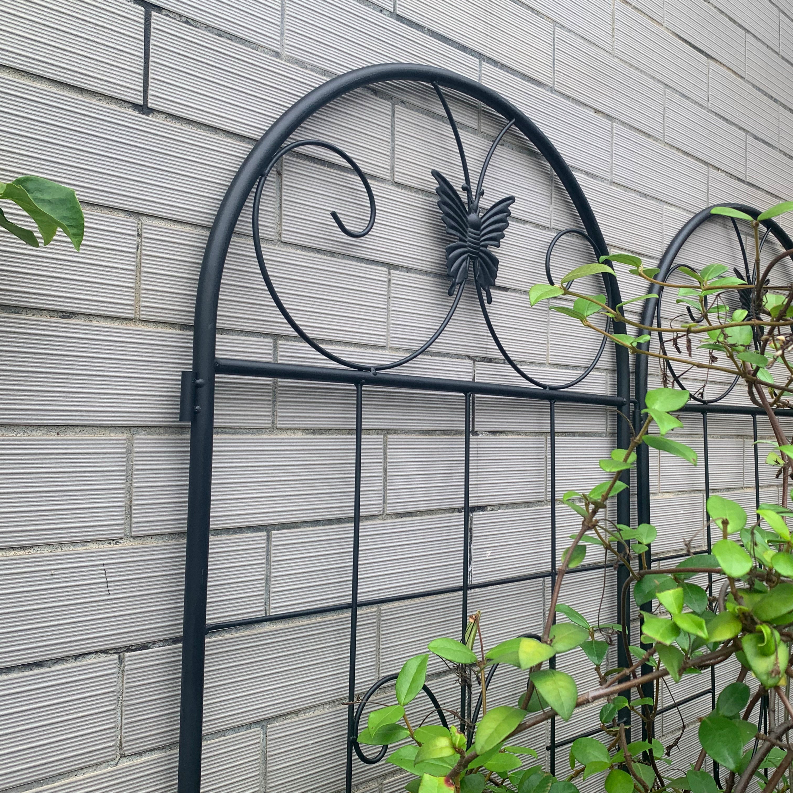 Metal Garden Trellis, 2 Pack for Climbing Plants, Metal