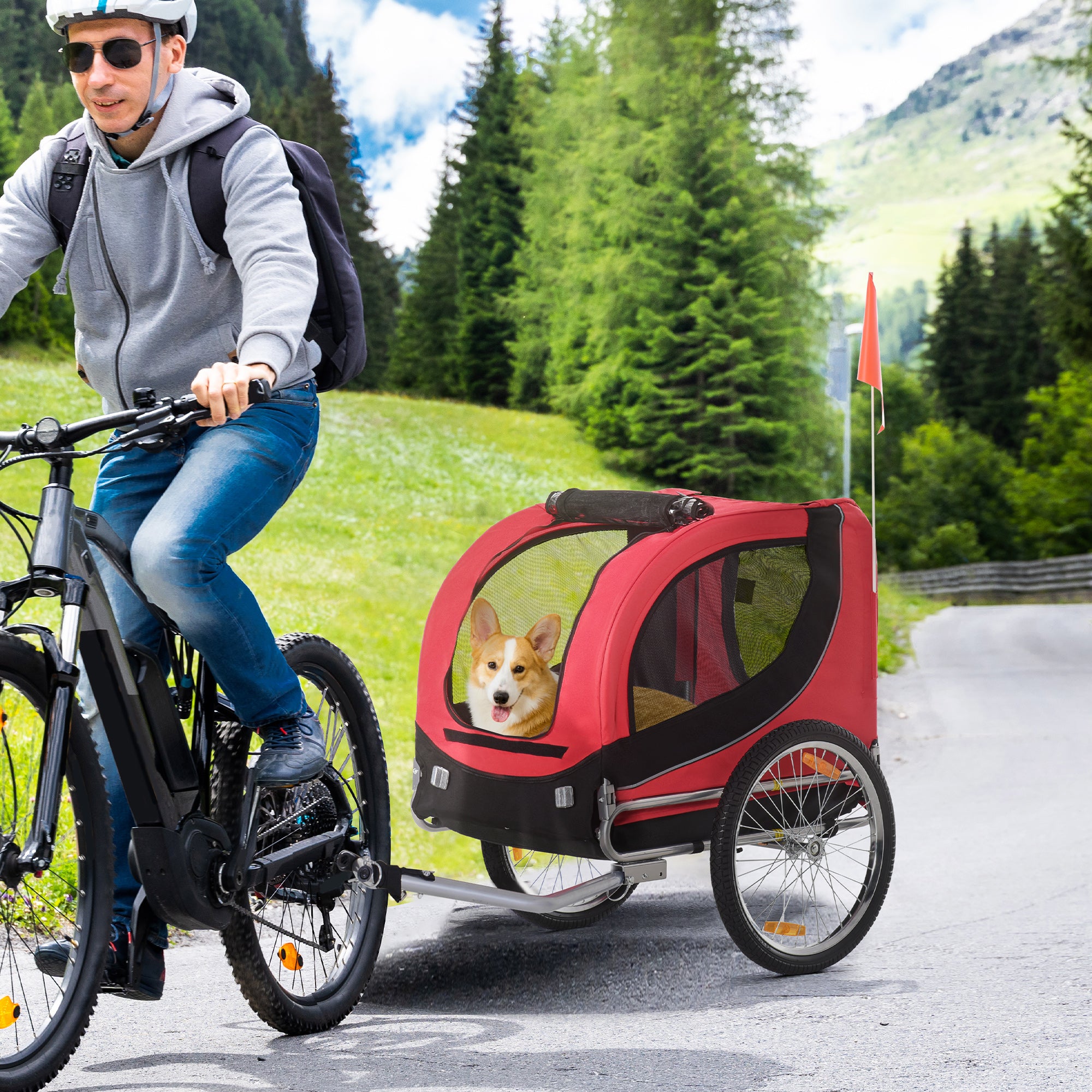 Dog Trailer Bicycle Transporter, 130 x 73 x 90 cm, Red+Black