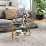 Round Coffee Table with 2-Tier Storage and Steel Frame, Tempered Glass Gold Tone