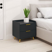 Elegant Two-Drawer Bedside Table, Black Engineered Wood
