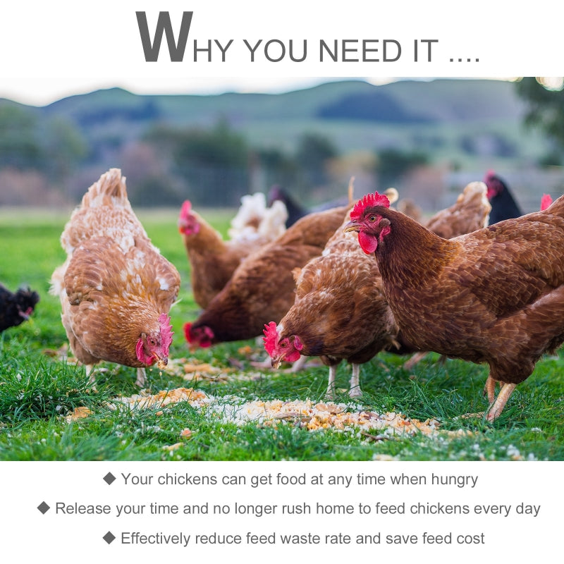 Automatic Chicken Poultry Feeder 11.5KG Rat Proof Treadle Self Opening, Galvanized Steel and Aluminium