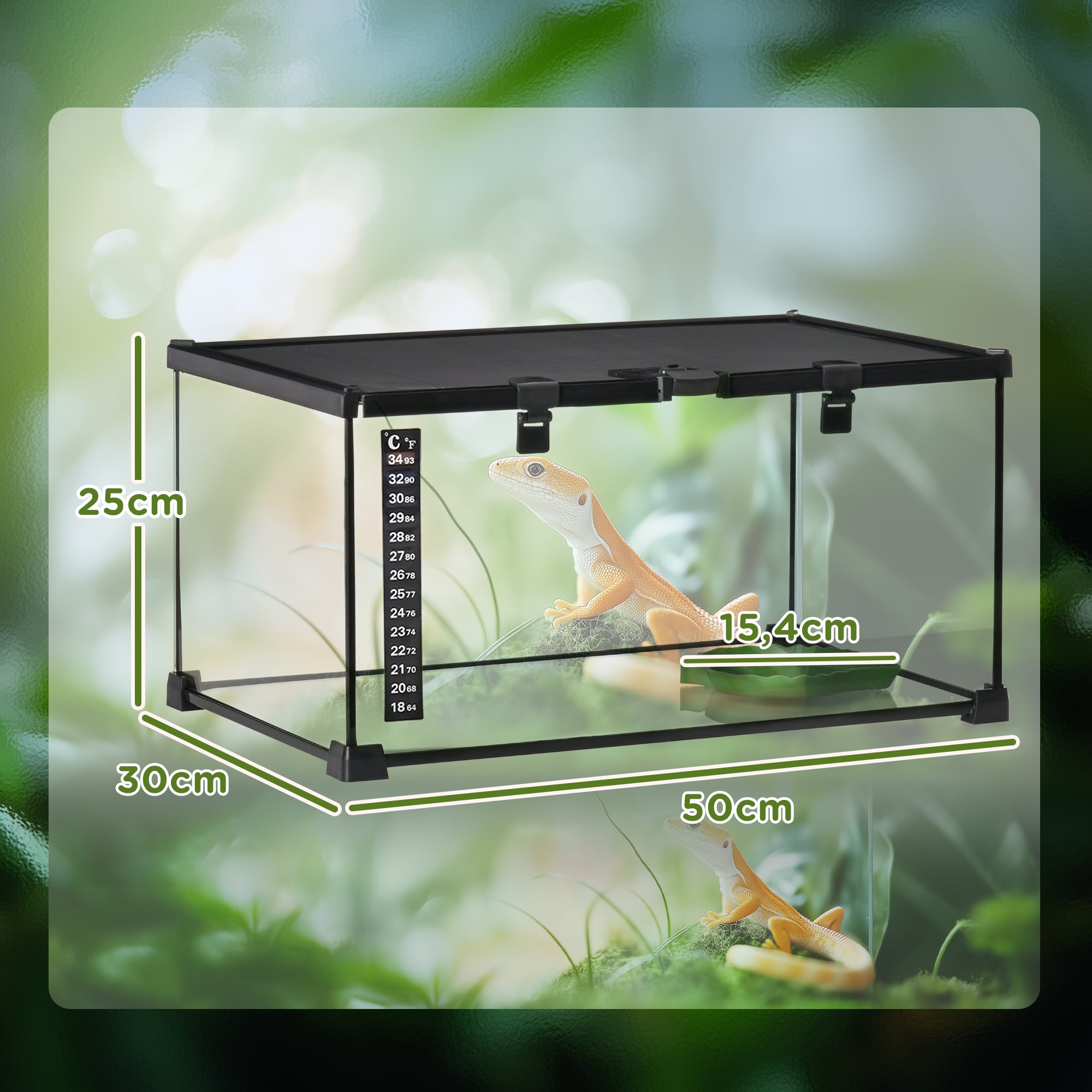 Terrarium, Reptile Feeding Box, Glass