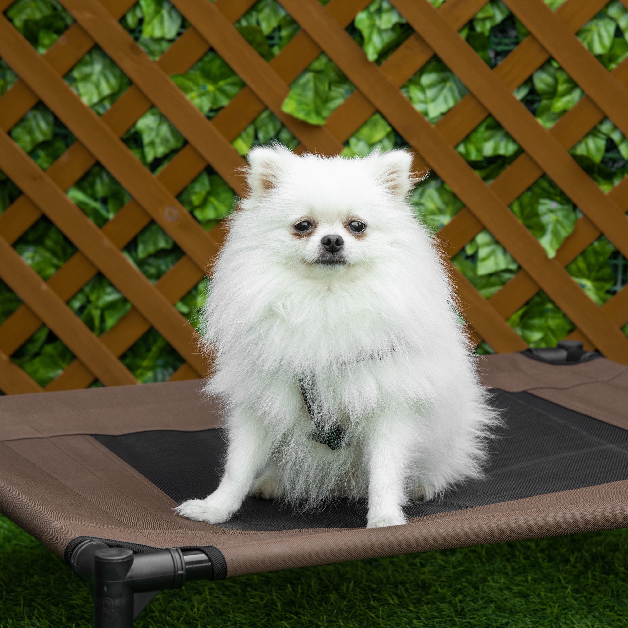 Outdoor Dog Bed, Raised Pet Bed with Washable Mesh, Brown