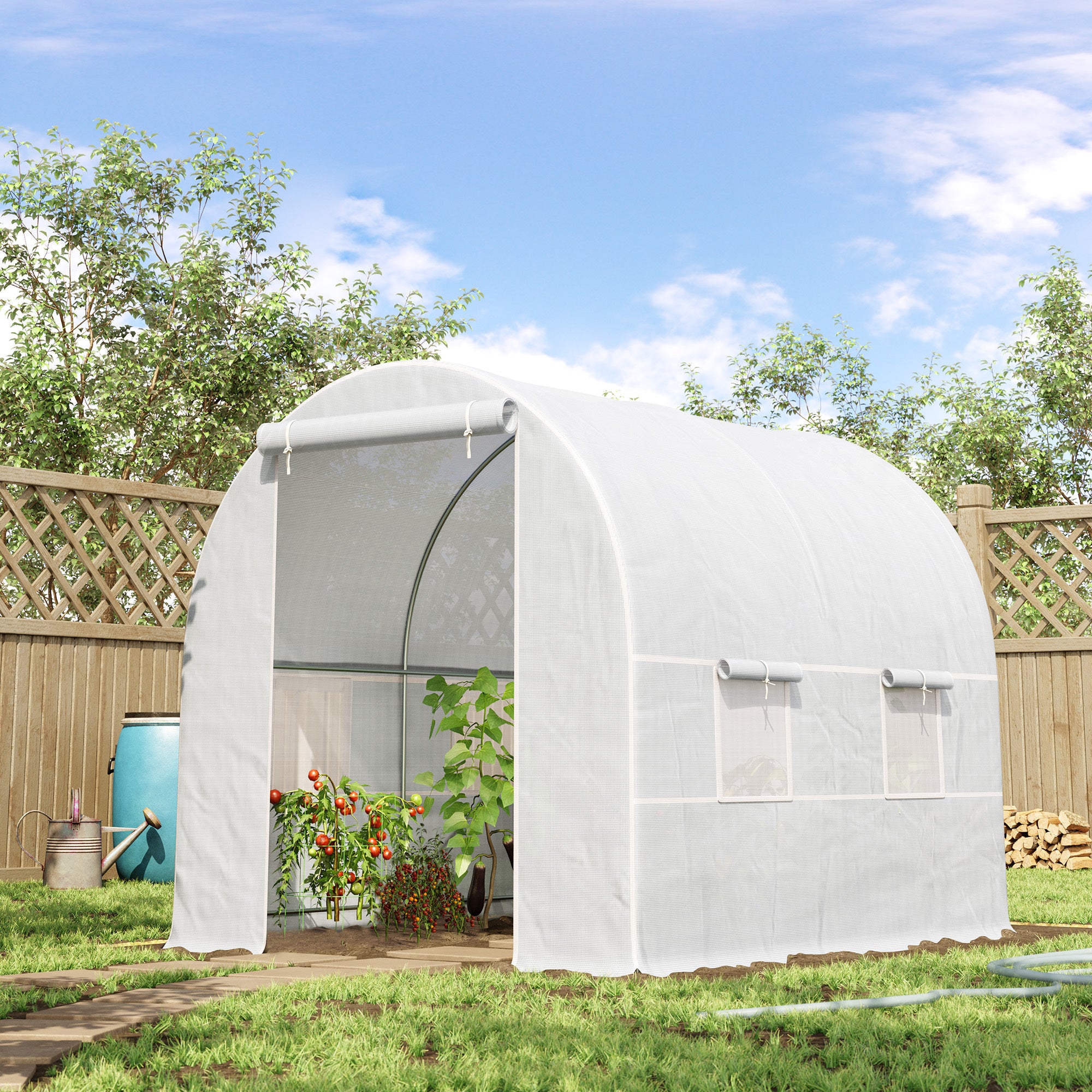 Foil Greenhouse, Hothouse Plant House 245x200x200 cm, Foil Material