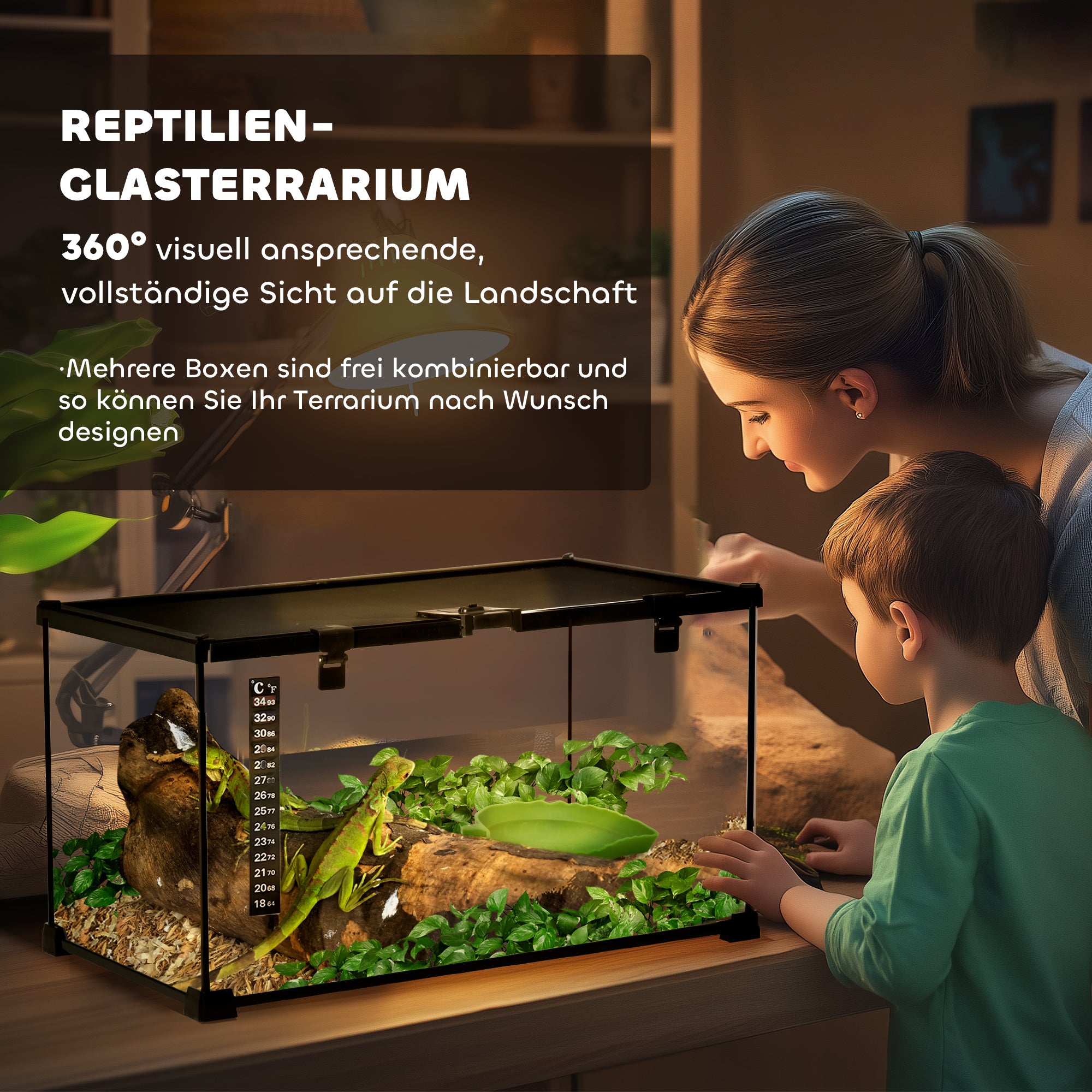 Terrarium, Reptile Feeding Box, Glass
