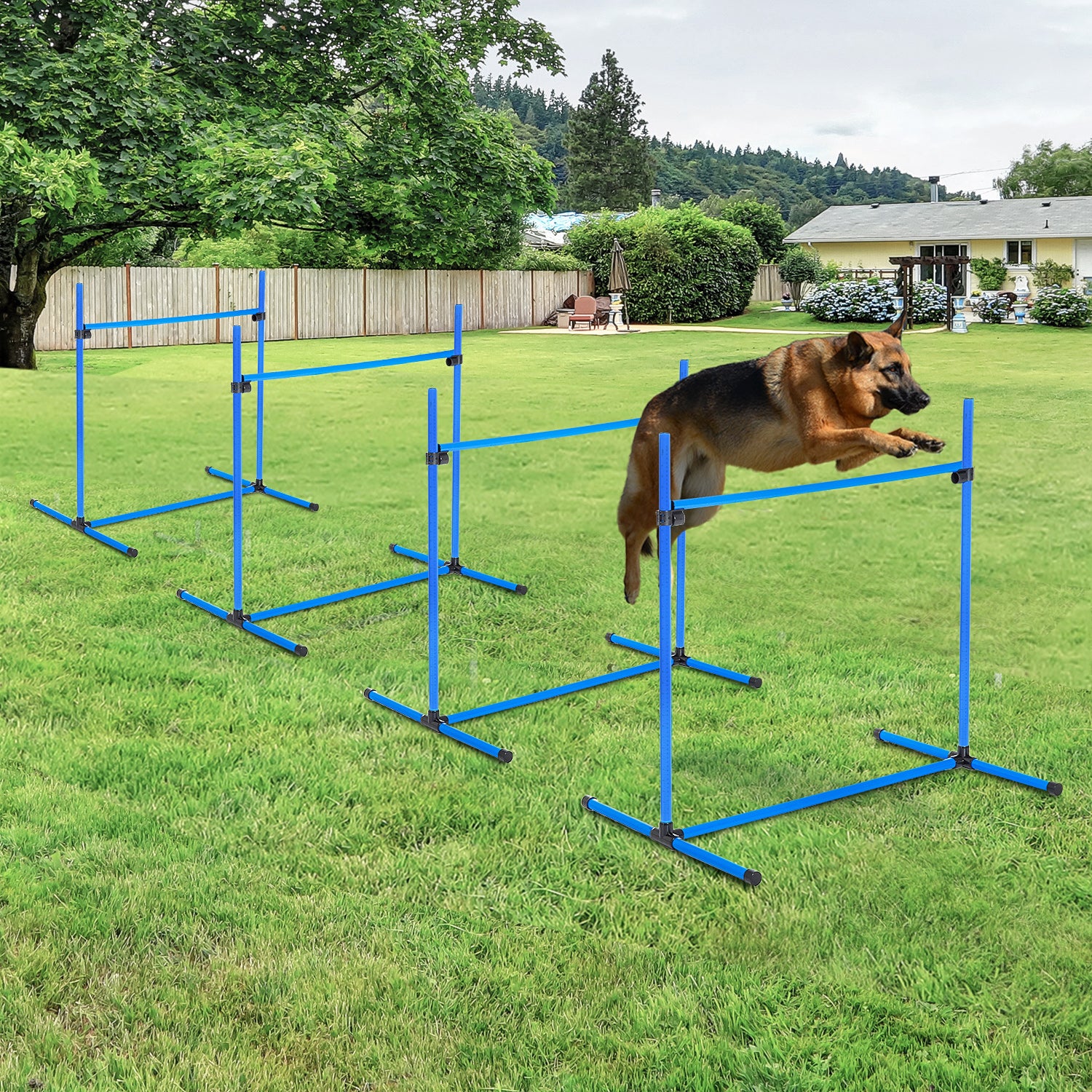 Agility Set for Dogs, 4-Piece, Height-Adjustable Plastic, Blue